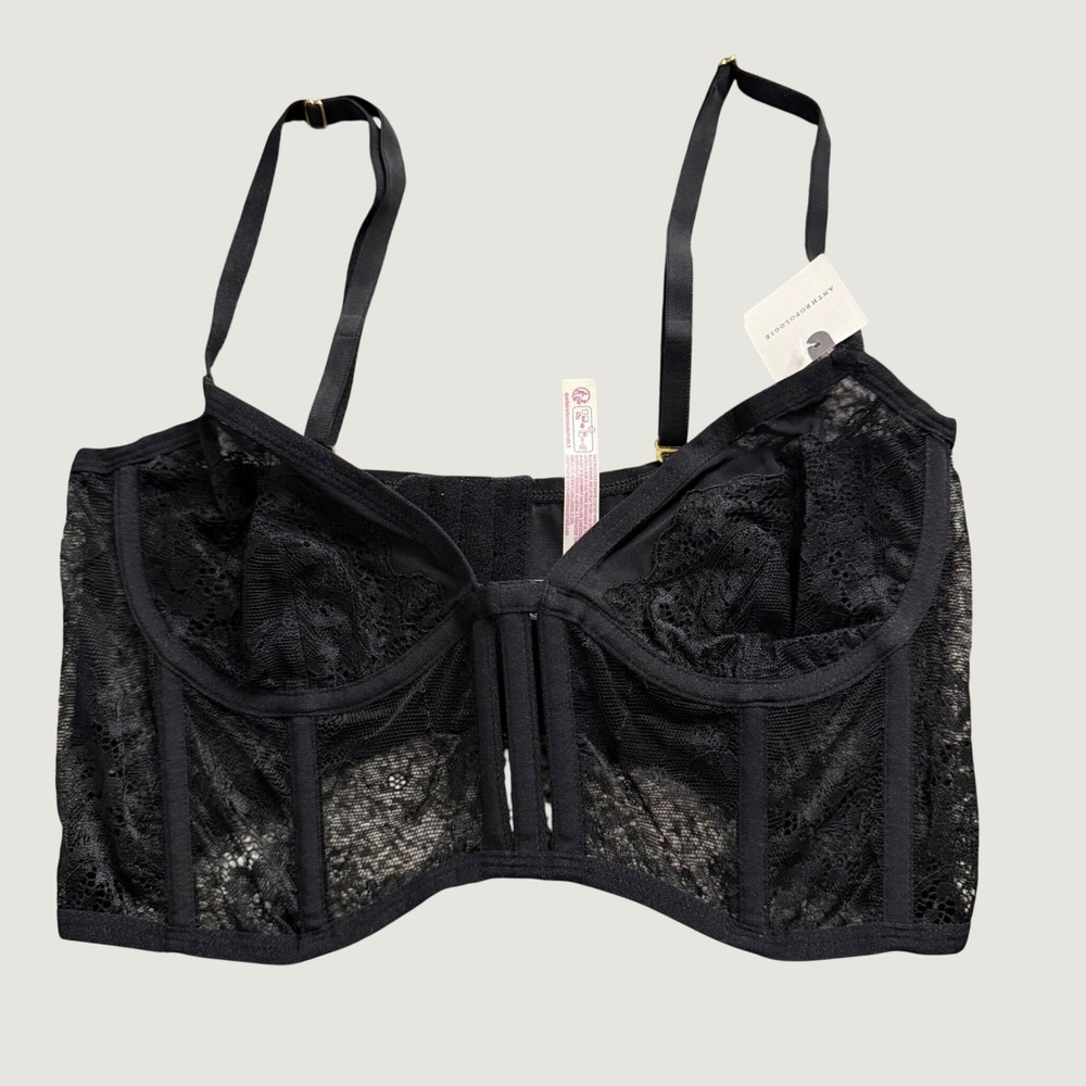 LyreBird Anthropologie Bustier Bra Size M Lace Longline Corset Top Black NEW
